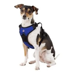 Little Earth Front Clip Pet Harness -Sport Clothing Shop BILLNV0215C